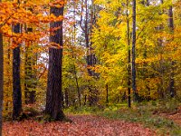 Beskid Niski
